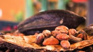 Tascalate Alma del Sur